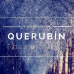 Descubre el Significado del Nombre Querubín: Origen, Historia y Simbolismo